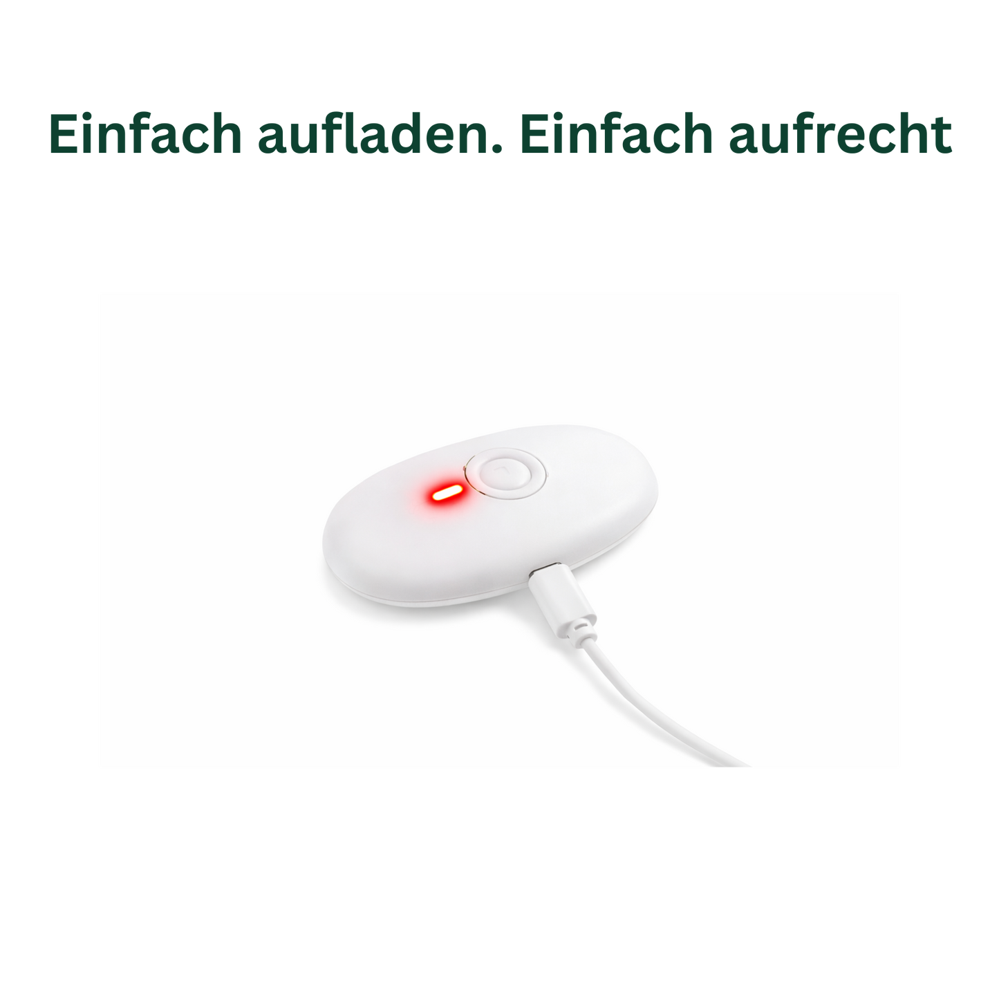 RückenGlück® Haltungstrainer Pro