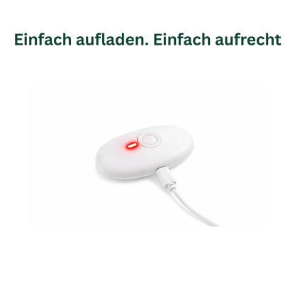 RückenGlück® Haltungstrainer Pro